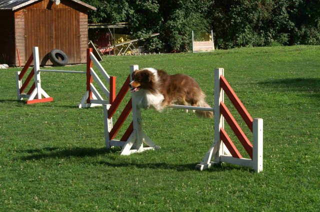 agility 2011-08